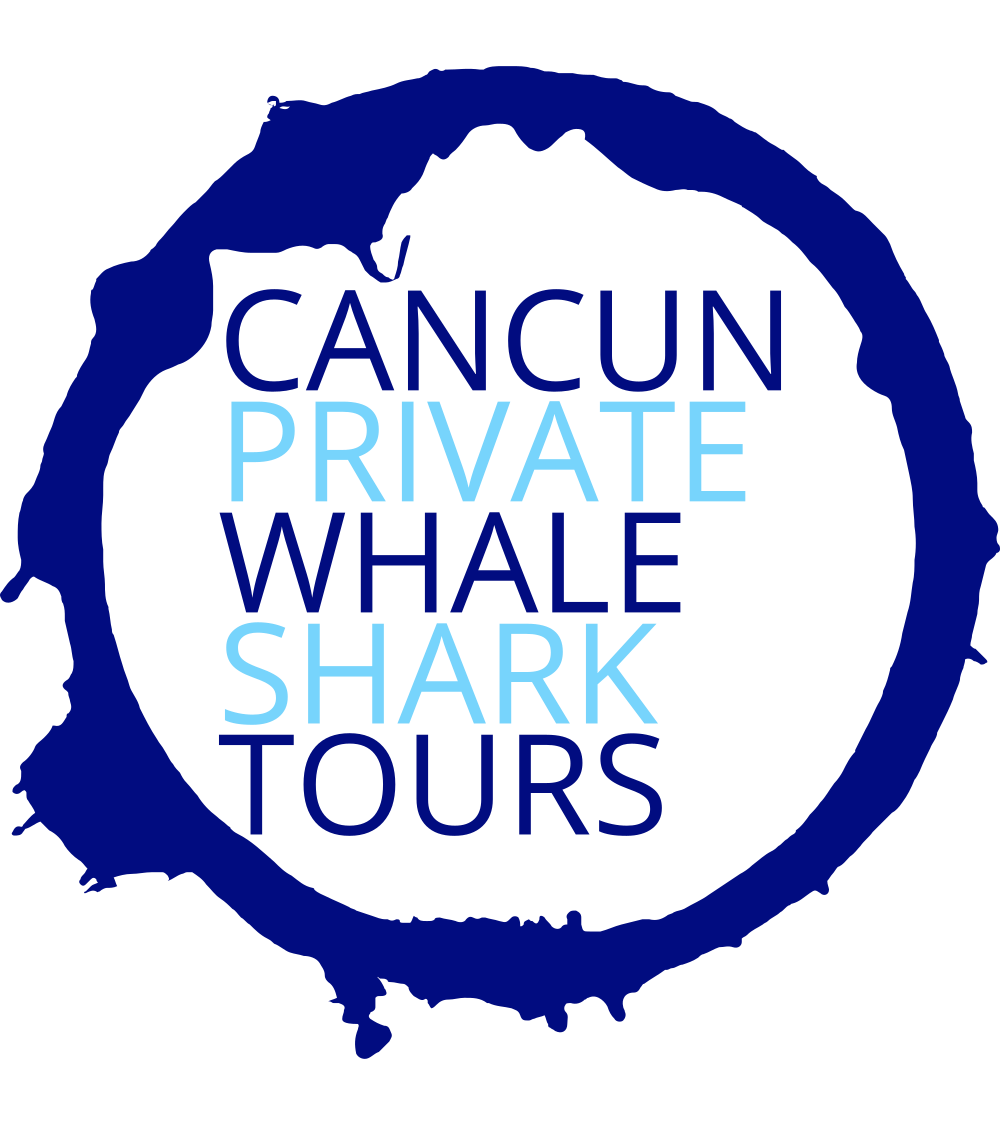 Cancun Private Whale Shark Tours